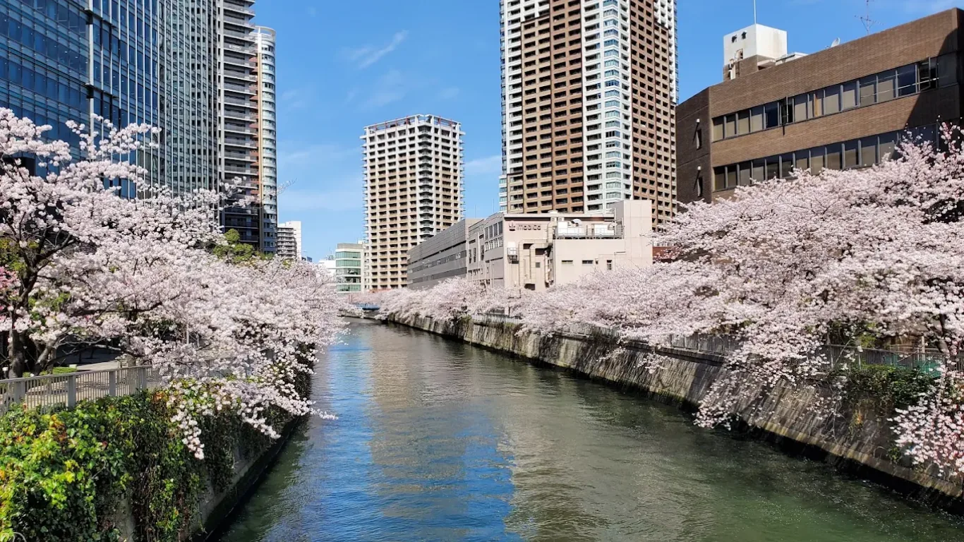 五反田の街
