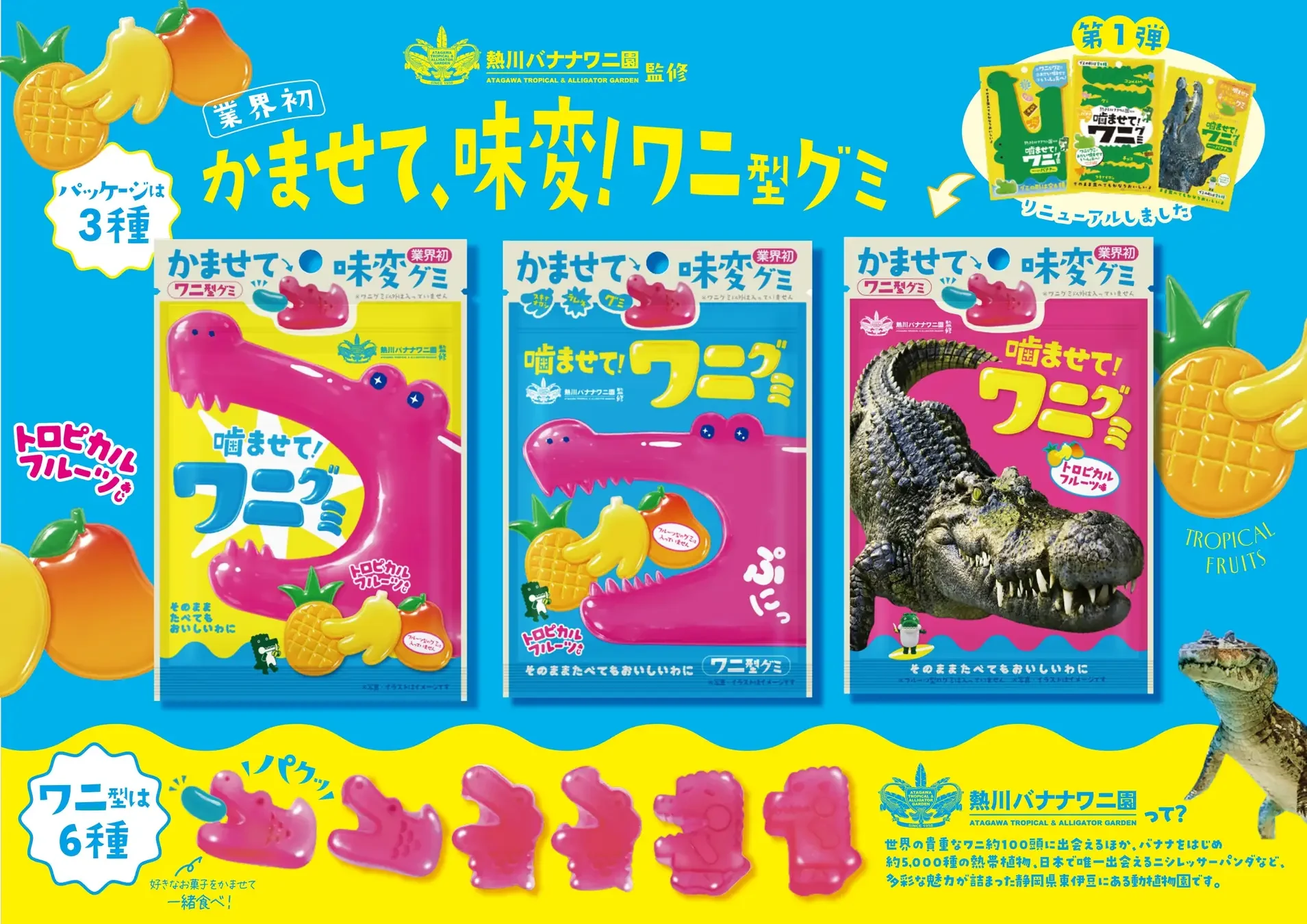 「噛ませて！ワニグミ トロピカルフルーツあじ」のパッケージ3種とピンク色のワニ型グミ6種