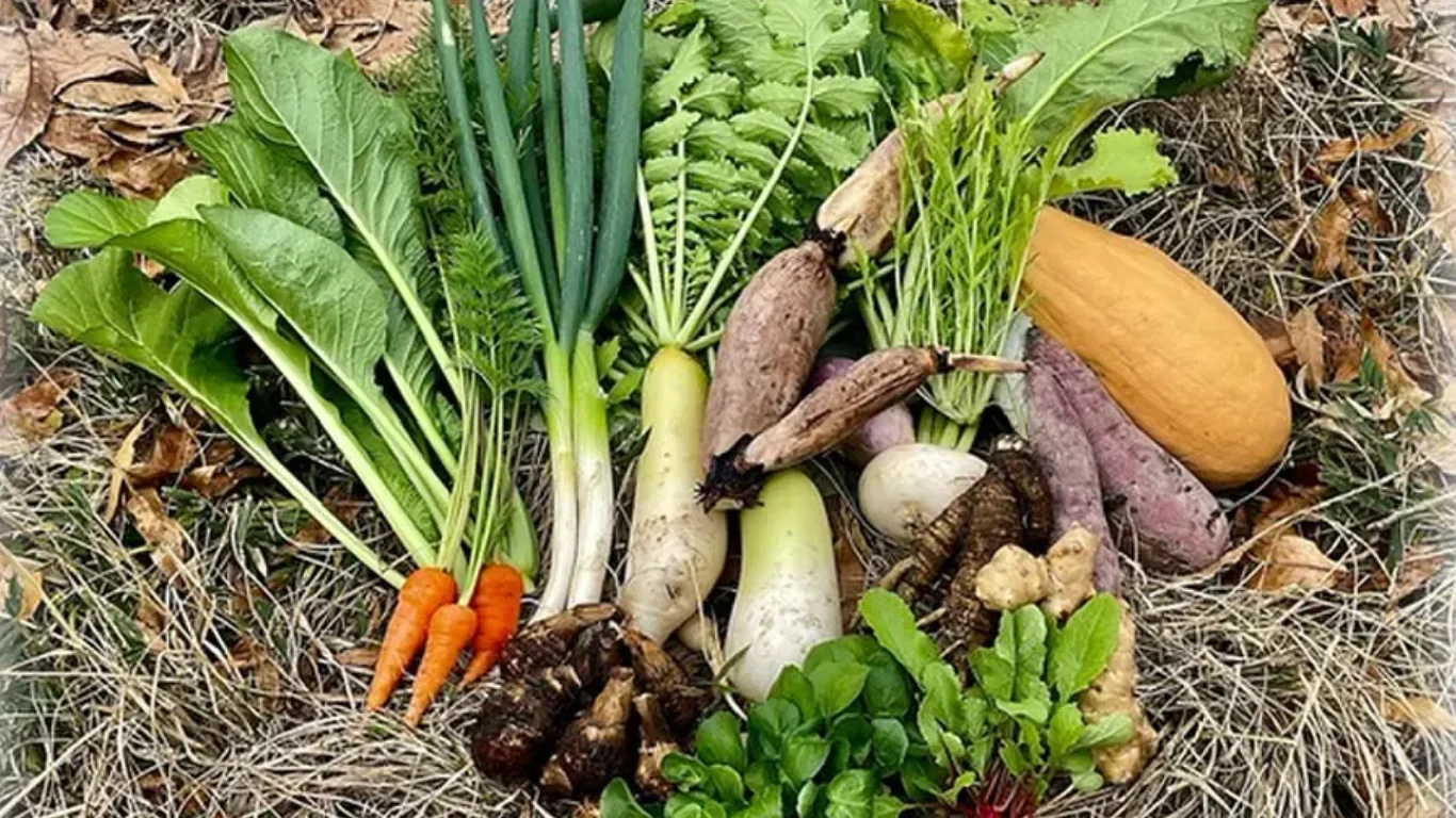 「在来種の野菜」が静かに絶滅している